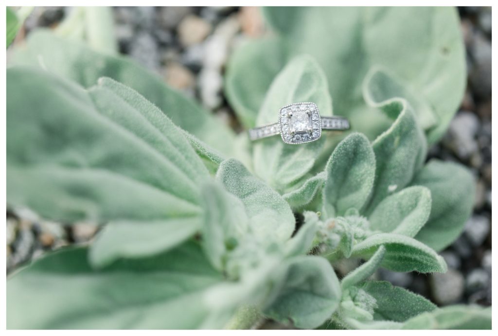 Southern California photographer - engagement ring and succulents