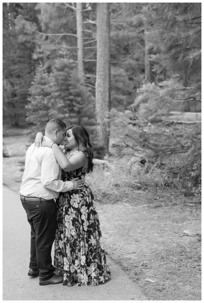 Engagement photos in Sequoia National Park - a black and white photo of a couple in the sequoias