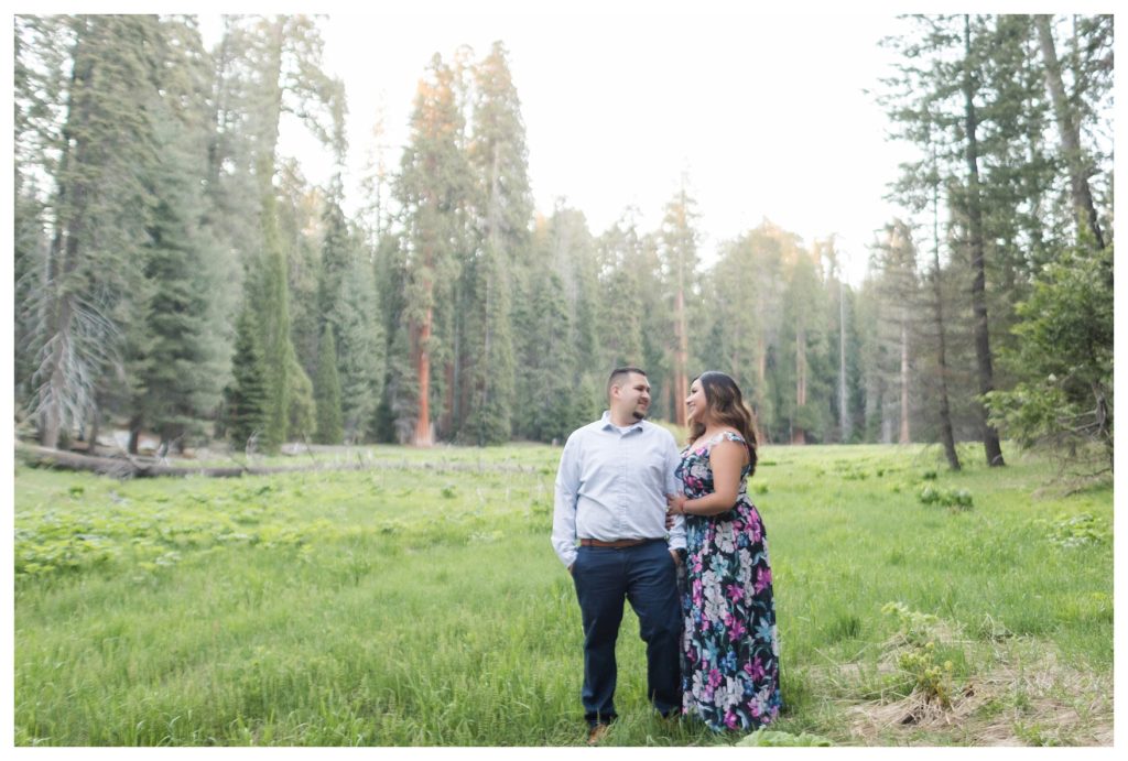 Engagement photos in Sequoia National Park - a couple surrounded by sequoias during golden hour