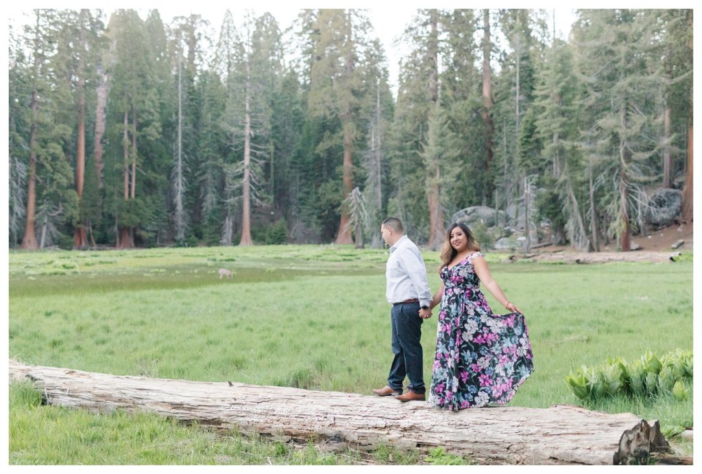 Engagement photos in Sequoia National Park - couple walking across a fallen tree
