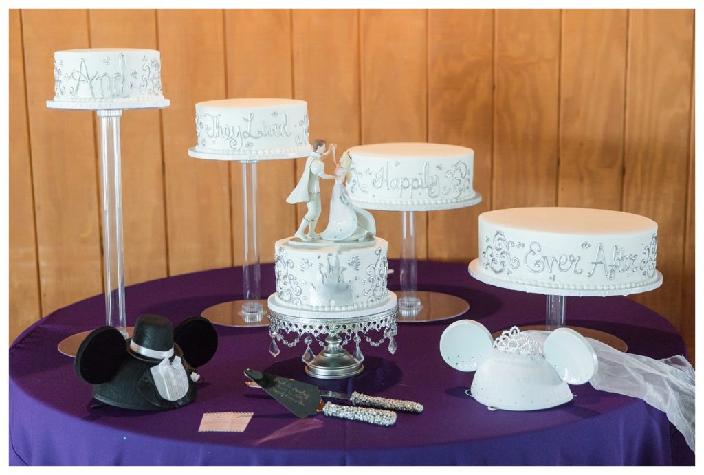 Park Place Events Wedding - Disney themed wedding cake