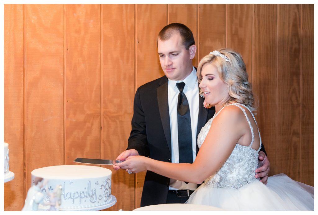 Park Place Events Wedding - bride and groom cutting their wedding cake