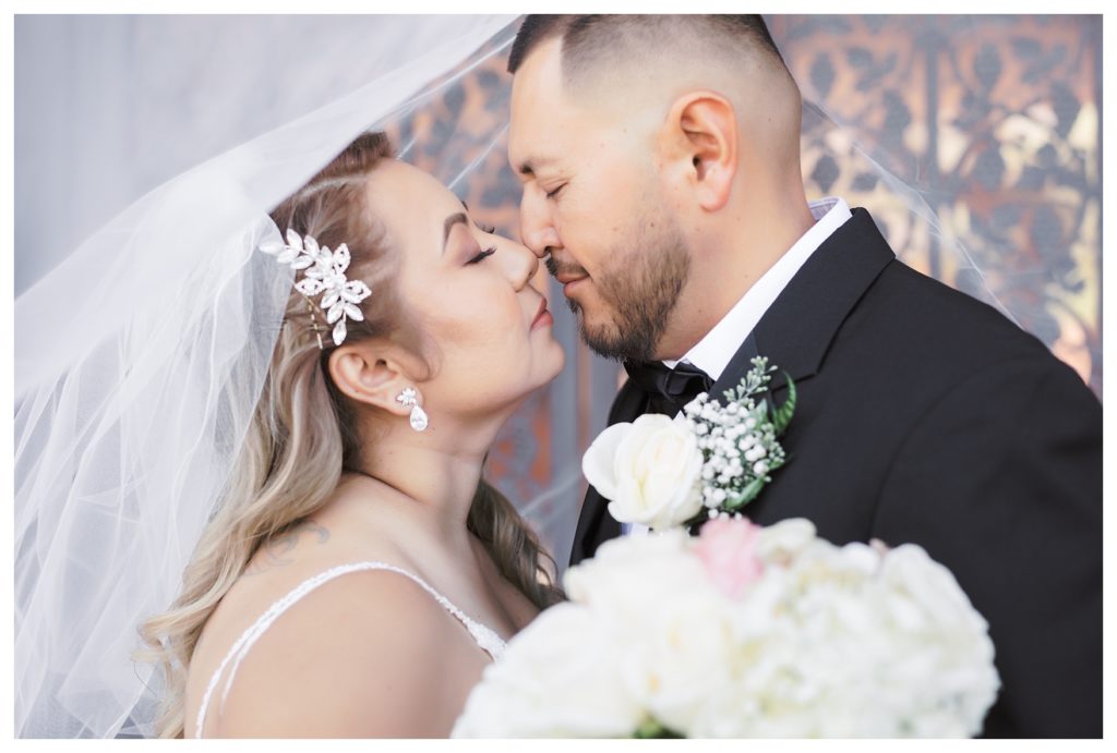 bride and groom kiss beneath a veil at their wedding at The Gardens at Mill Creek