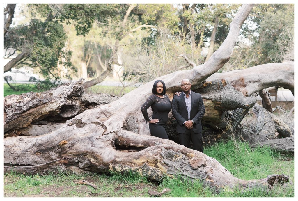 a couple poses on a fallen tree during engagement photos