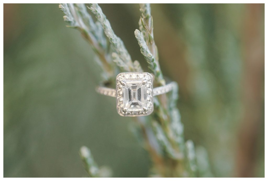 a close up photo of a gorgeous engagement ring during engagement photos at Allegretto Vineyard Resort