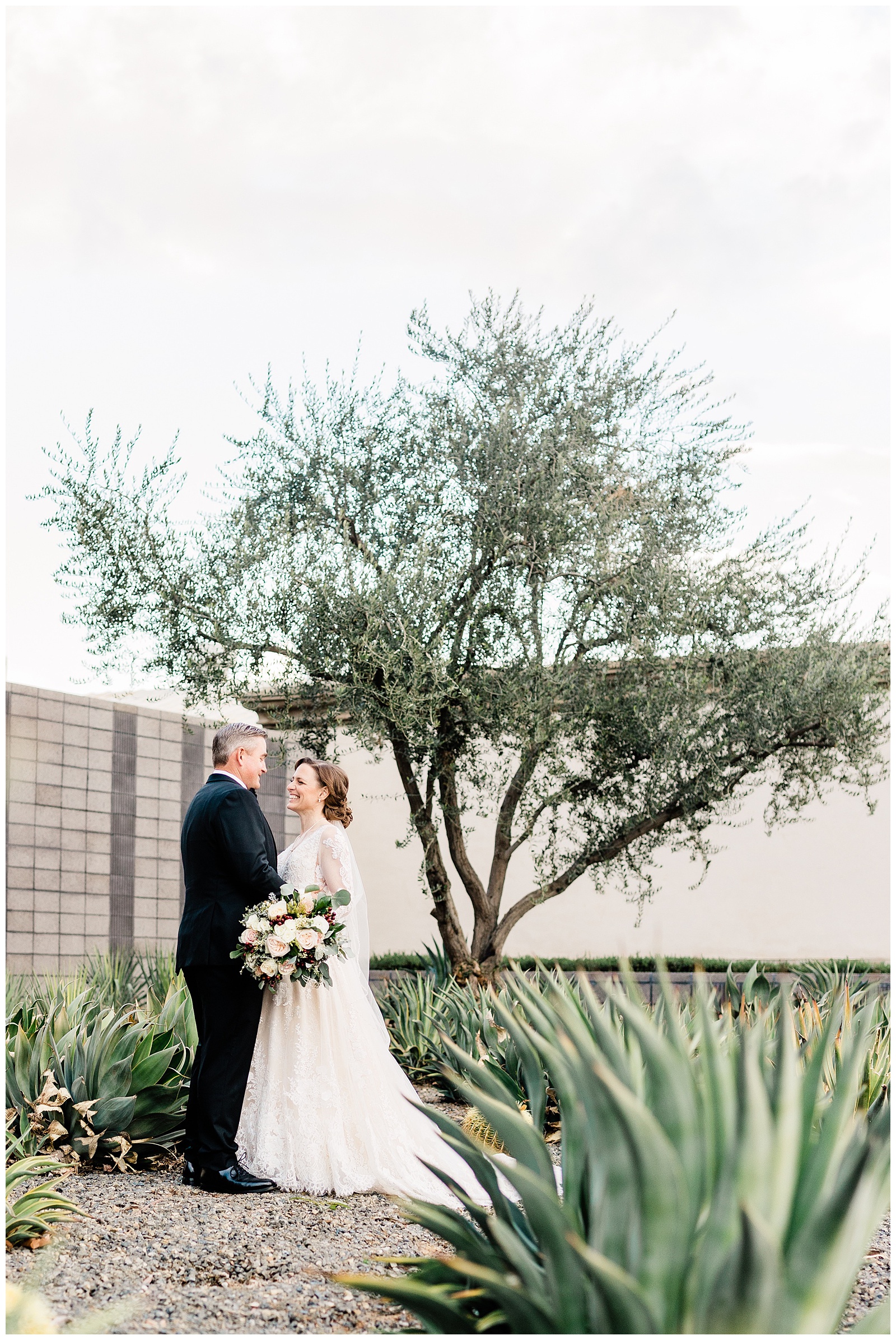 a bride and groom walk through a cactus garden after their winter wedding in Bakersfield, CA