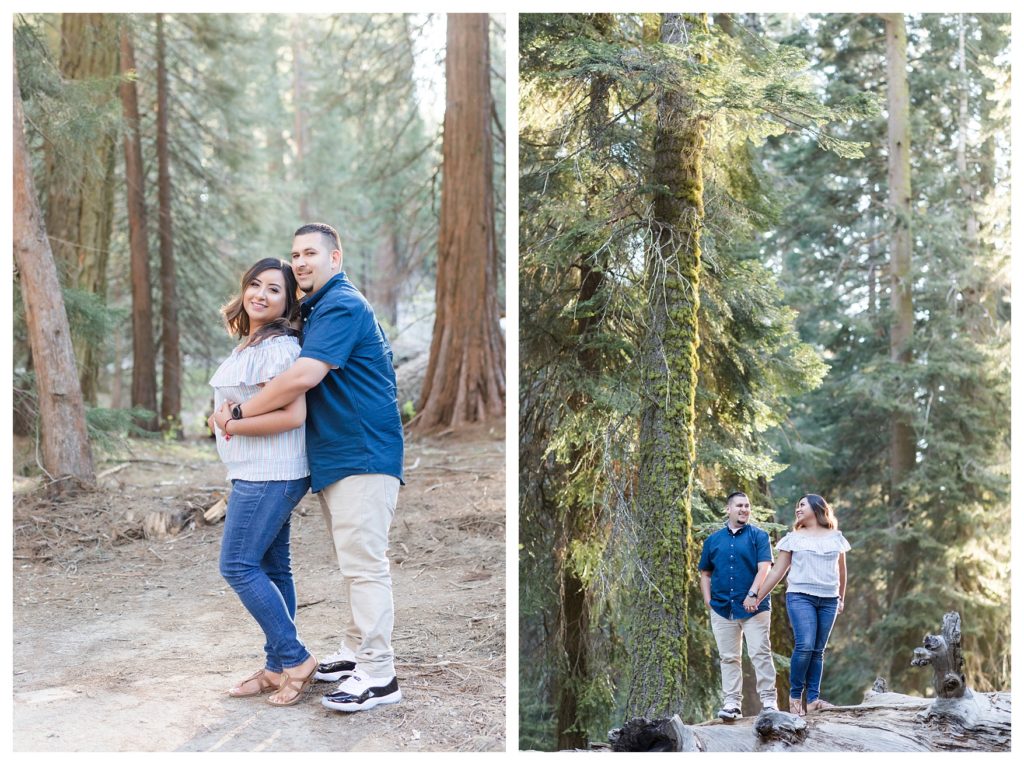 a couple having their engagement photos in Sequoia National Park